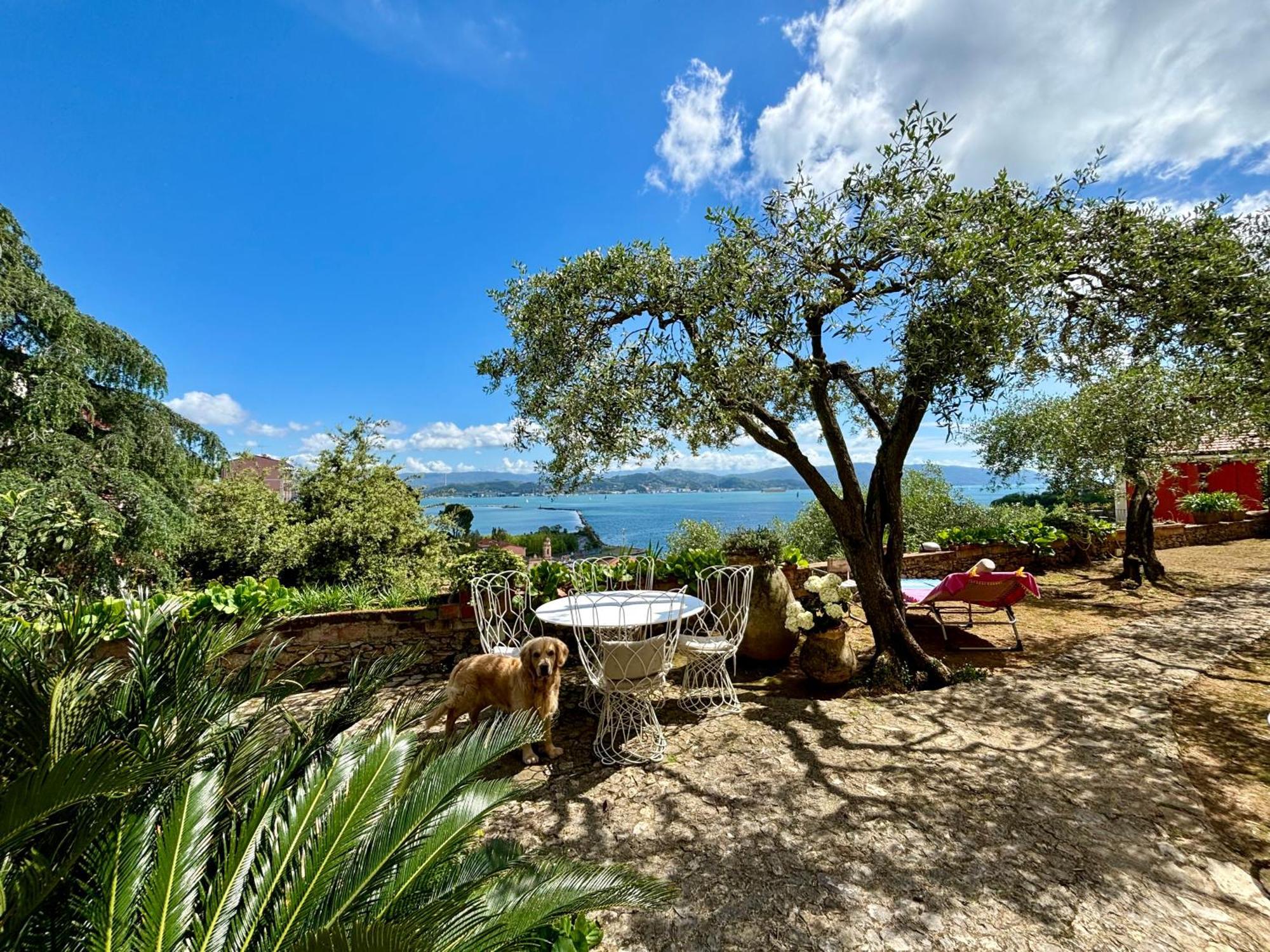 Casa Nori Villa เฟสซาโน ภายนอก รูปภาพ